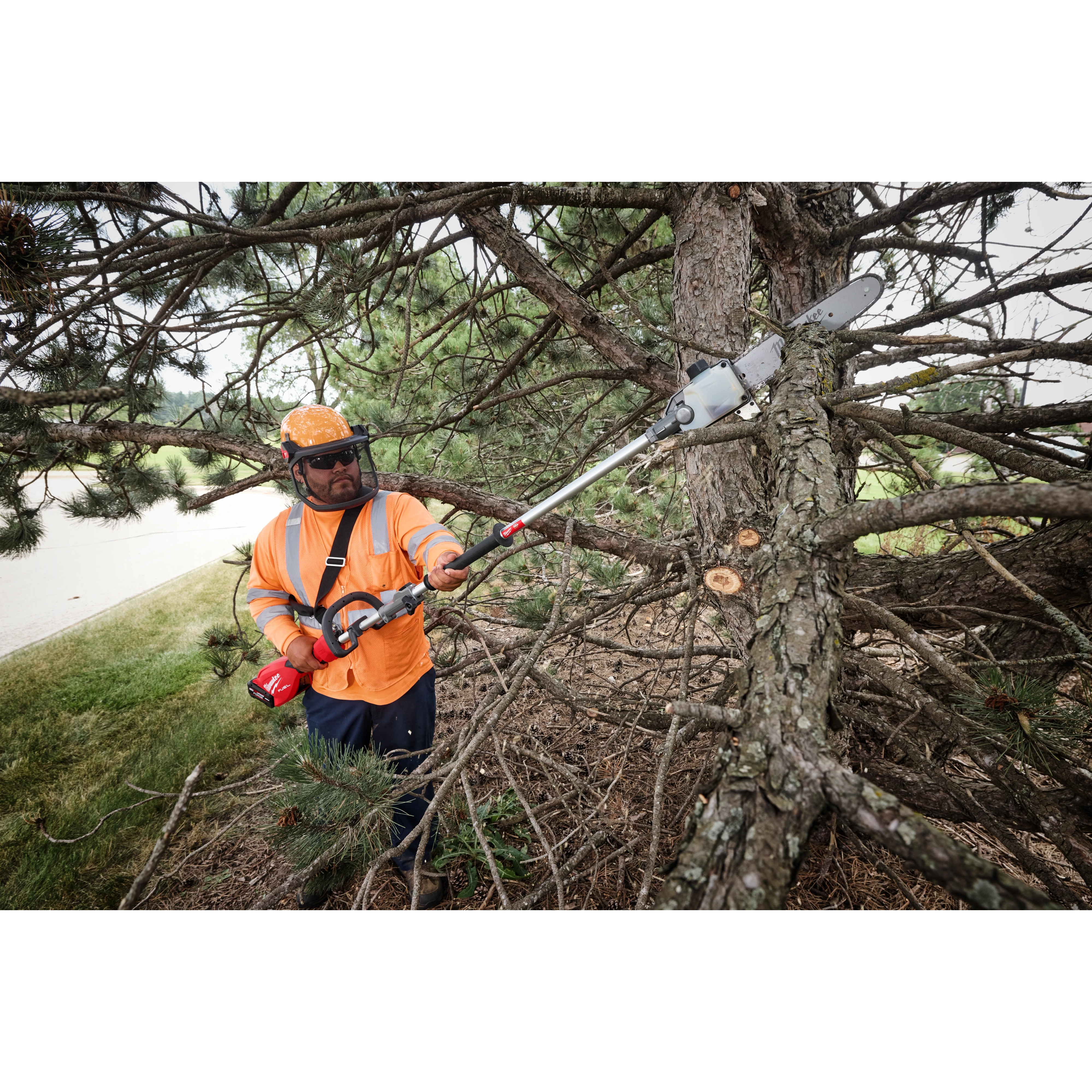 Worker using a pole saw to trim branches on a large tree.